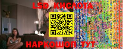 дживик Берёзовский