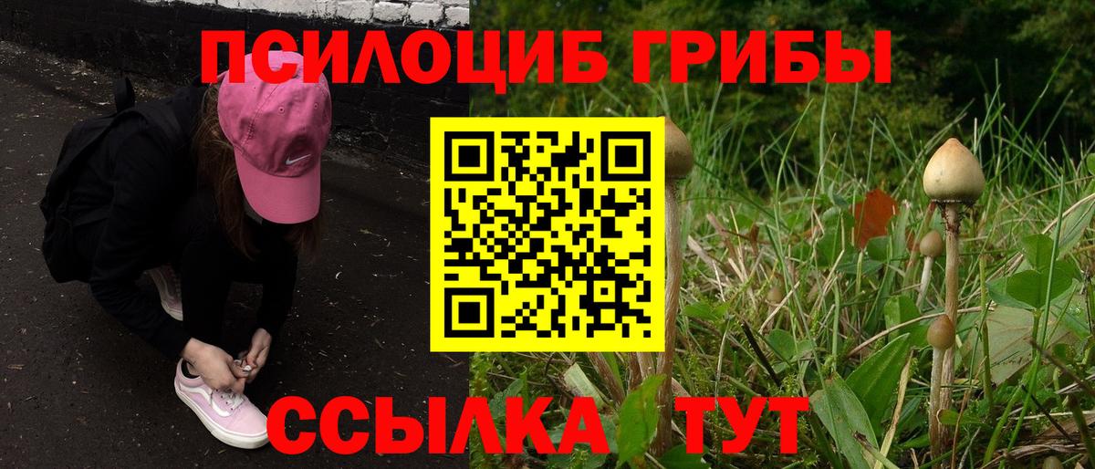 Псилоцибиновые грибы GOLDEN TEACHER  Вход с VPN  Кисловодск 