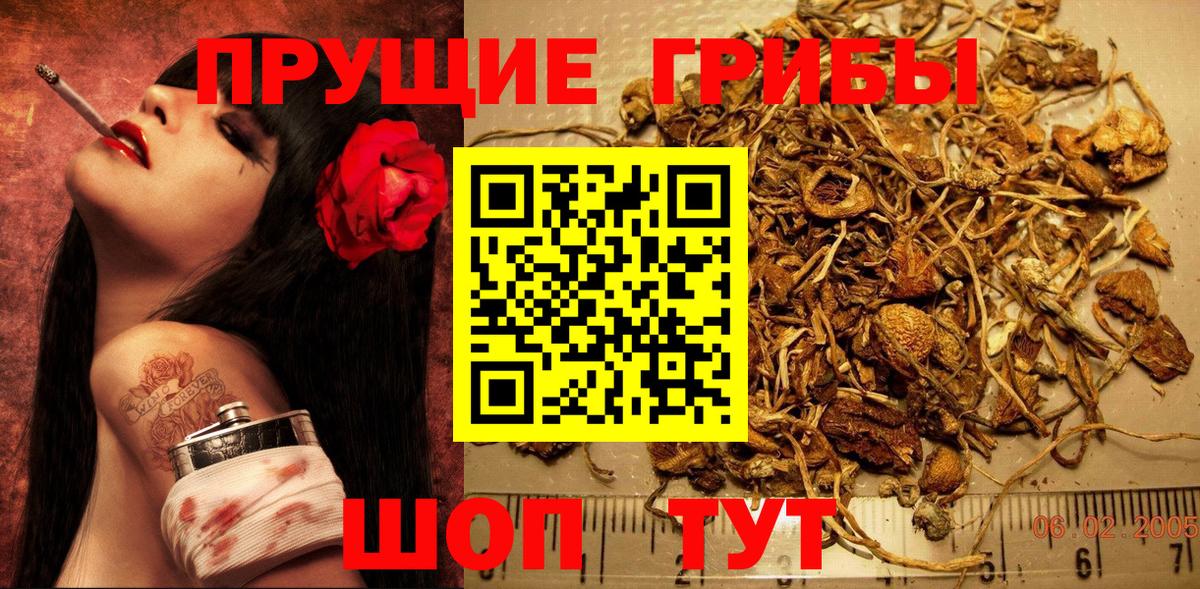 Галлюциногенные грибы Cubensis Кисловодск